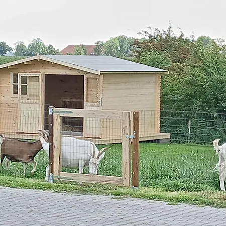 Ferien- Und Pferdehof Egelkraut 