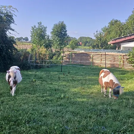 Appartement Ferien- Und Pferdehof Egelkraut 