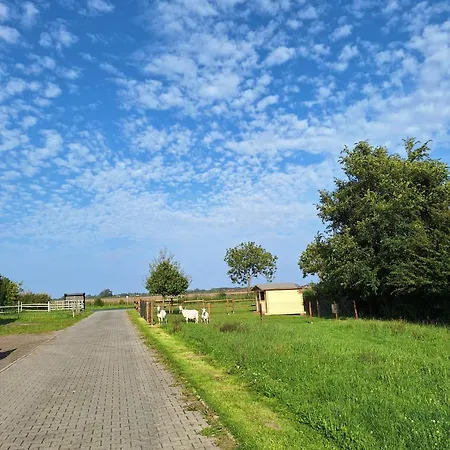 Ferien- Und Pferdehof Egelkraut Feriendomizil Am *