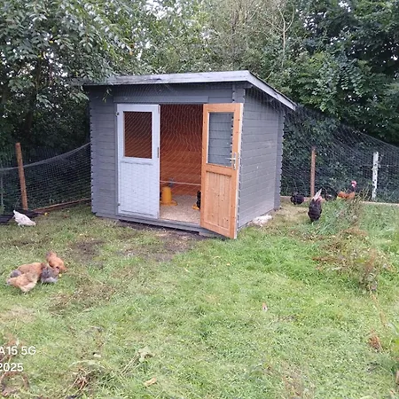 Appartement Ferien- Und Pferdehof Egelkraut 