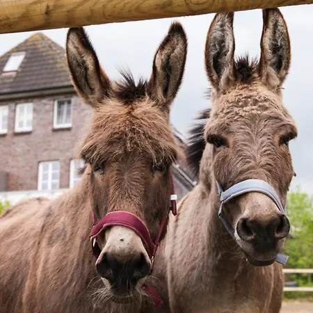 Ferien- Und Pferdehof Egelkraut 