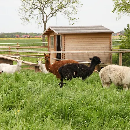Appartement Ferien- Und Pferdehof Egelkraut 
