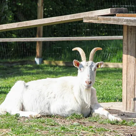Ferien- Und Pferdehof Egelkraut 
